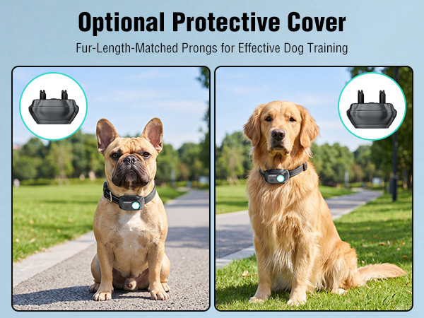 dog collars