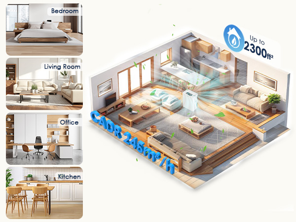 Air Purifiers for Home