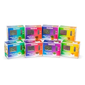 JT Eaton ZendoZones Fruit Fly Traps