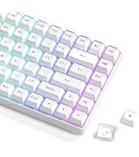 Womier Pudding Keycaps for Mechanical Keyboard 60 65 75 100 Percent - PBT Shine Through Keycaps,165 ...