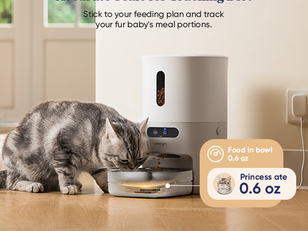 2.0_PPF-R361S-WUS_White_US_3_Mobile