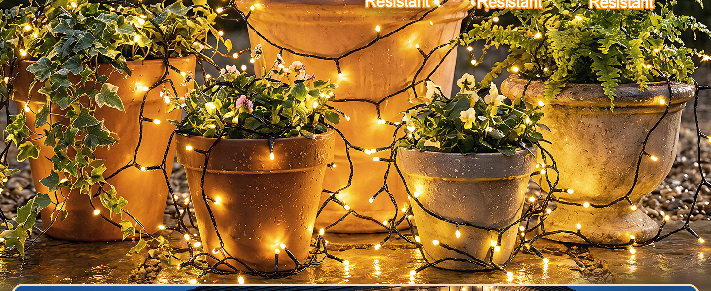 solar string lights