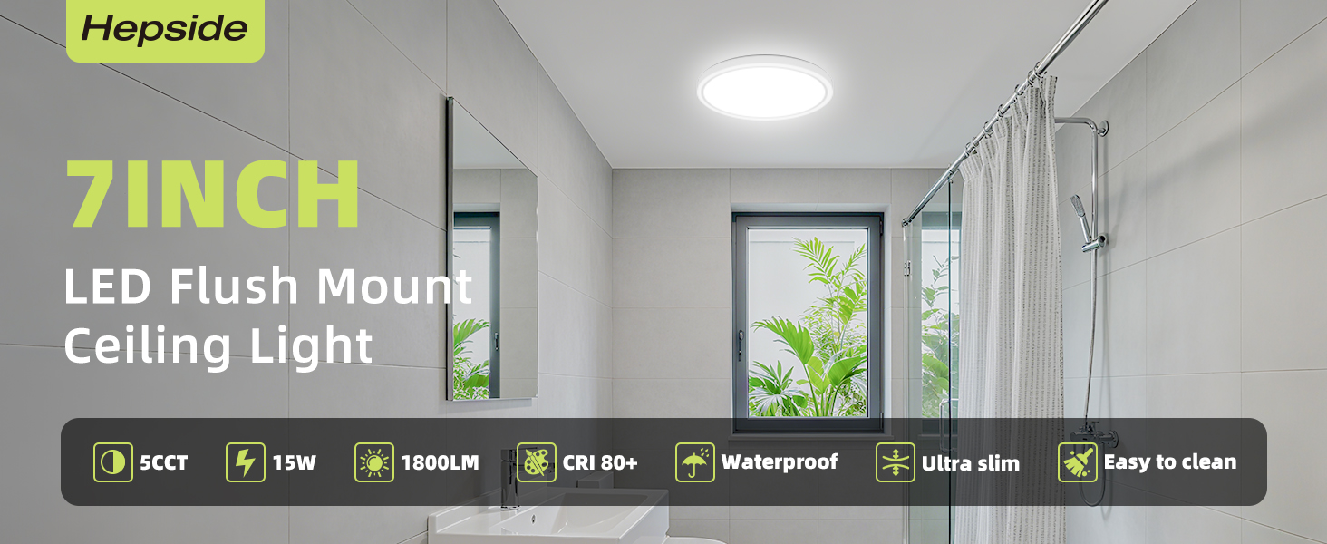 flush mount ceiling light