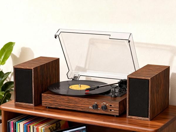 record player for vinyl with speakers