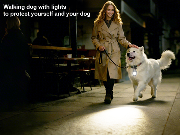 Light the way for your dog when you walk at night.