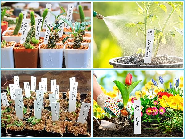 plant labels for seedlings