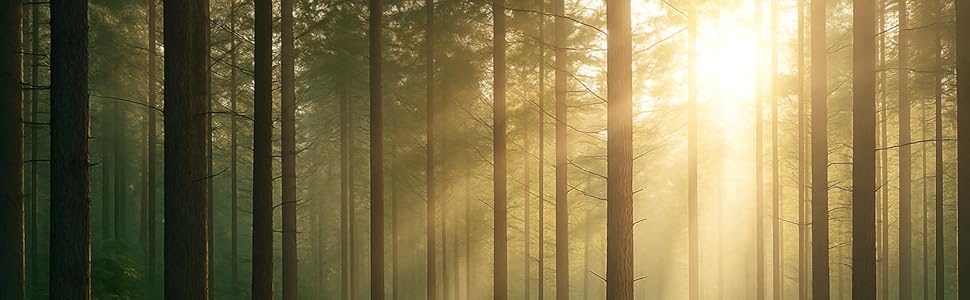 hp printing, printing paper