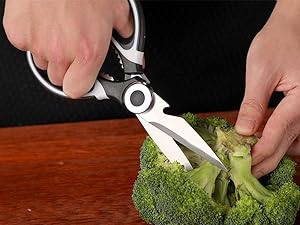 food scissors