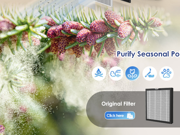 Air Purifiers for Home Large Room