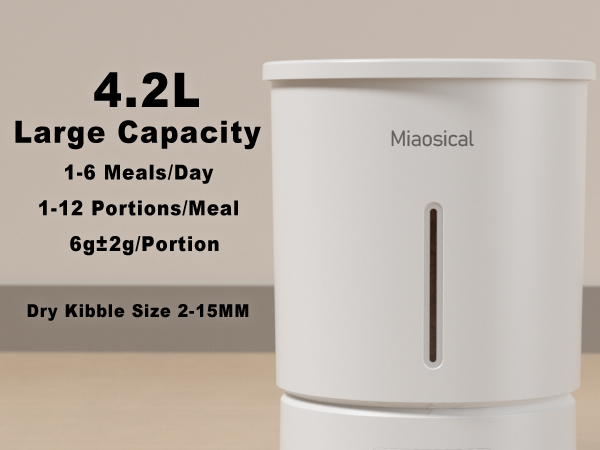 dual cats auto feeder