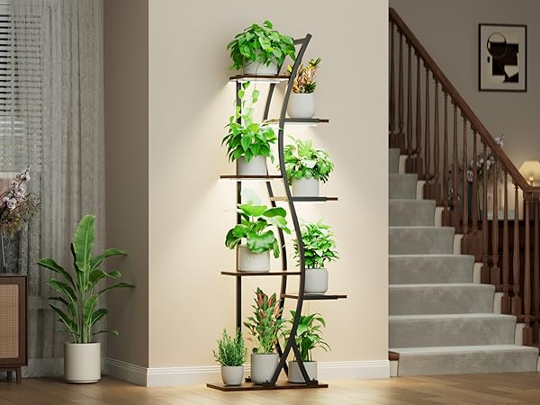 plant stand indoor