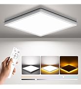 BLNAN Dimmable LED Flush Mount Ceiling Light Fixture with Remote Control, 12 Inch 24W 3000K-6500K...