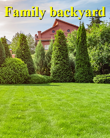 Family backyard