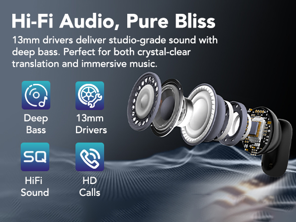 translator ear bud
