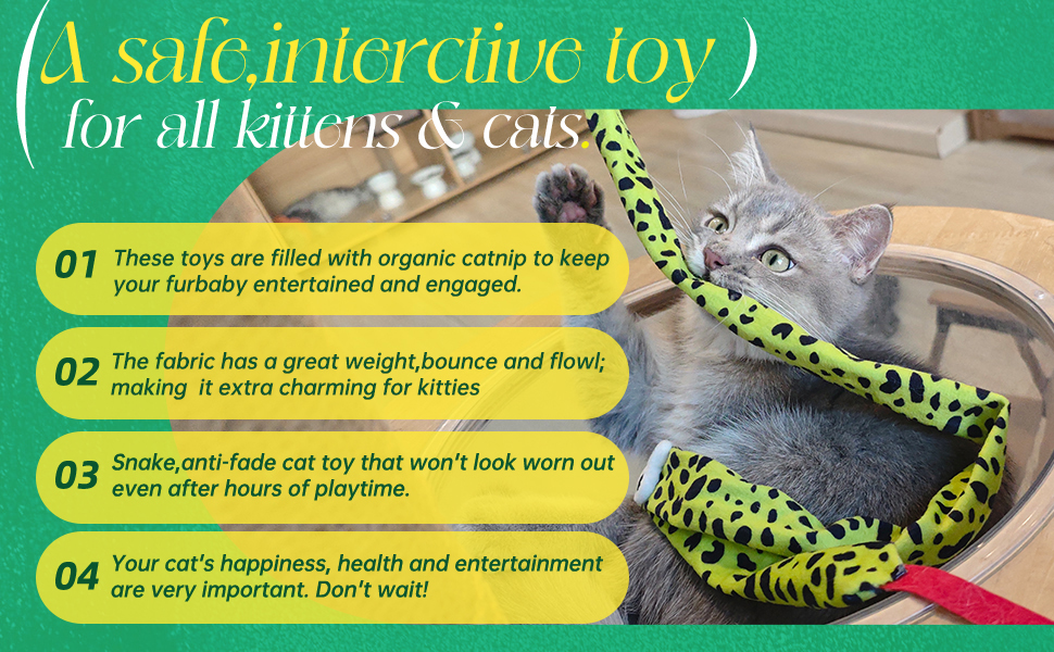cat toy wand