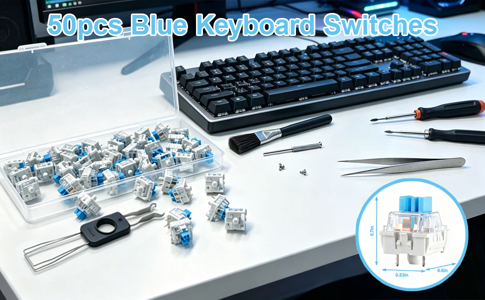 Keyboard Switches A+1