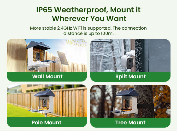 bird house with camera