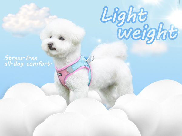 AIITLE Dog Harness, No-Pull Cat Harness with a Leash, Adjustable Reflective Dog Vest
