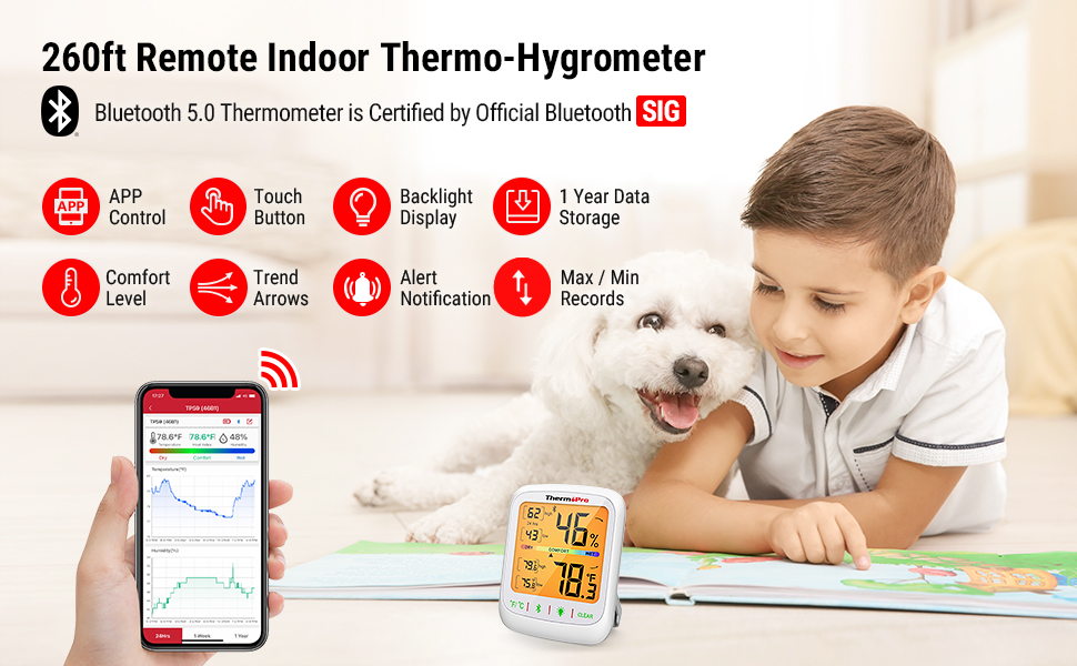 indoor room thermometer