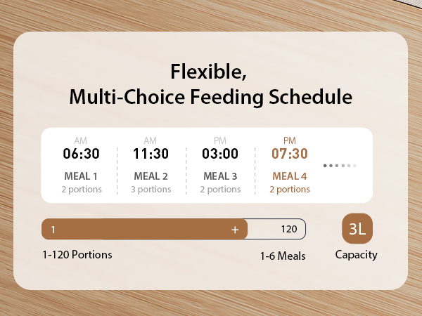 Automatic Cat Feeders