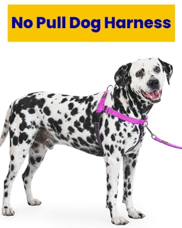 no pull dog harness