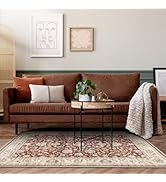 WITSHOCK 3x5 Area Rug, Soft Washable Rug for Living Room Bedroom, Non Slip Entryway Rug, Indoor V...