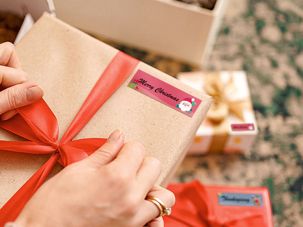 NIIMBOT D110 Label Maker for gift