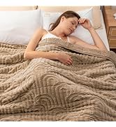 Wemore Jacquard Fleece Weighted Blanket Queen Size 60" x 80" 15lbs, Super Soft Cozy Sherpa Weight...