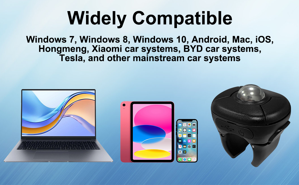 Trackball Mouse