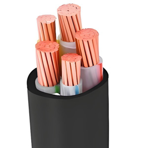 immersion water heater