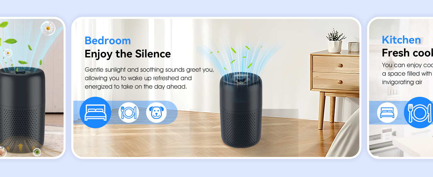 P60 Air Purifiers