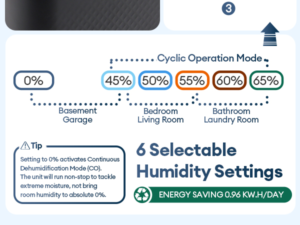 Dehumidifier for Home