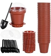 DOITOOL 20 Pack Flower Pot Dessert Cups with Lids Mini Plastic Bucket Cake Cups with Shovel and B...