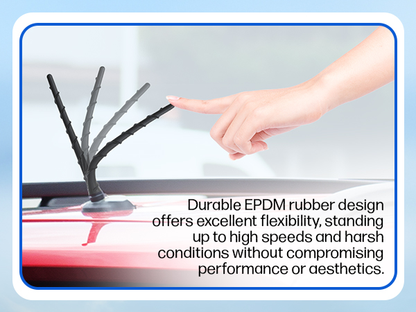 sierr brutal can fusion king ring adaptor tacoma sirius impala topper am club dart demon complete