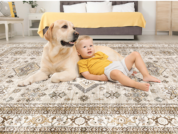 rugs for living room