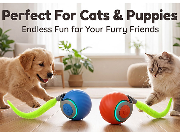 speedy tail cat toy