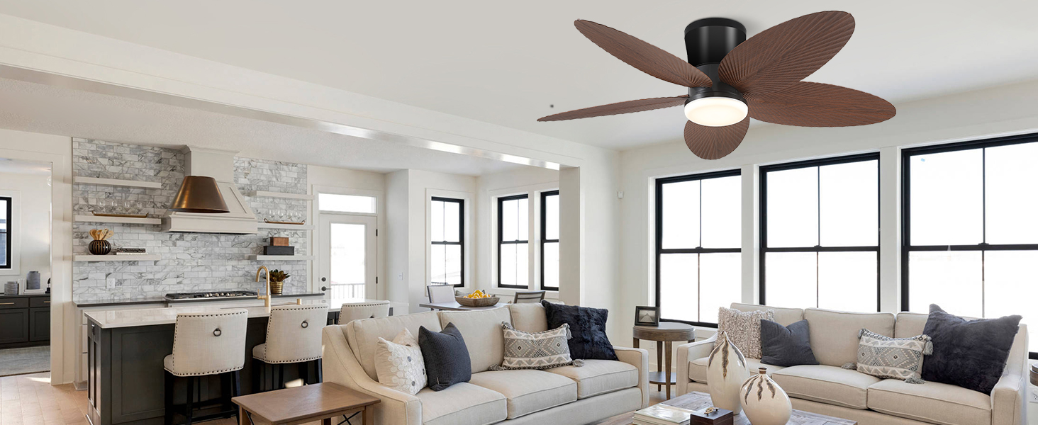 ceiling fan