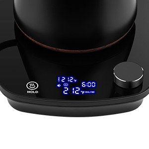 Gooseneck Electric Kettle