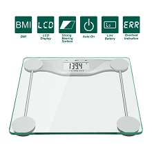 BMI Scale 