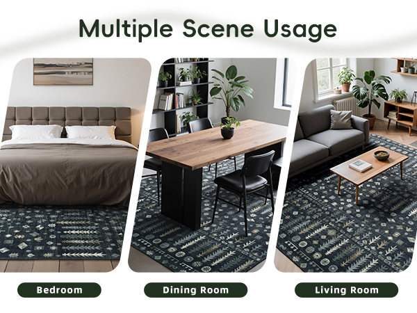 BGASZ 8x10 Washable Area Rug, Soft Area Rugs for Living Room, Non Slip Backing,
