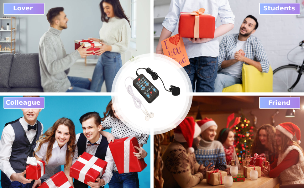 Handheld Voice Changer