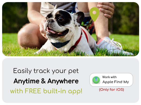 only for ios apple find my