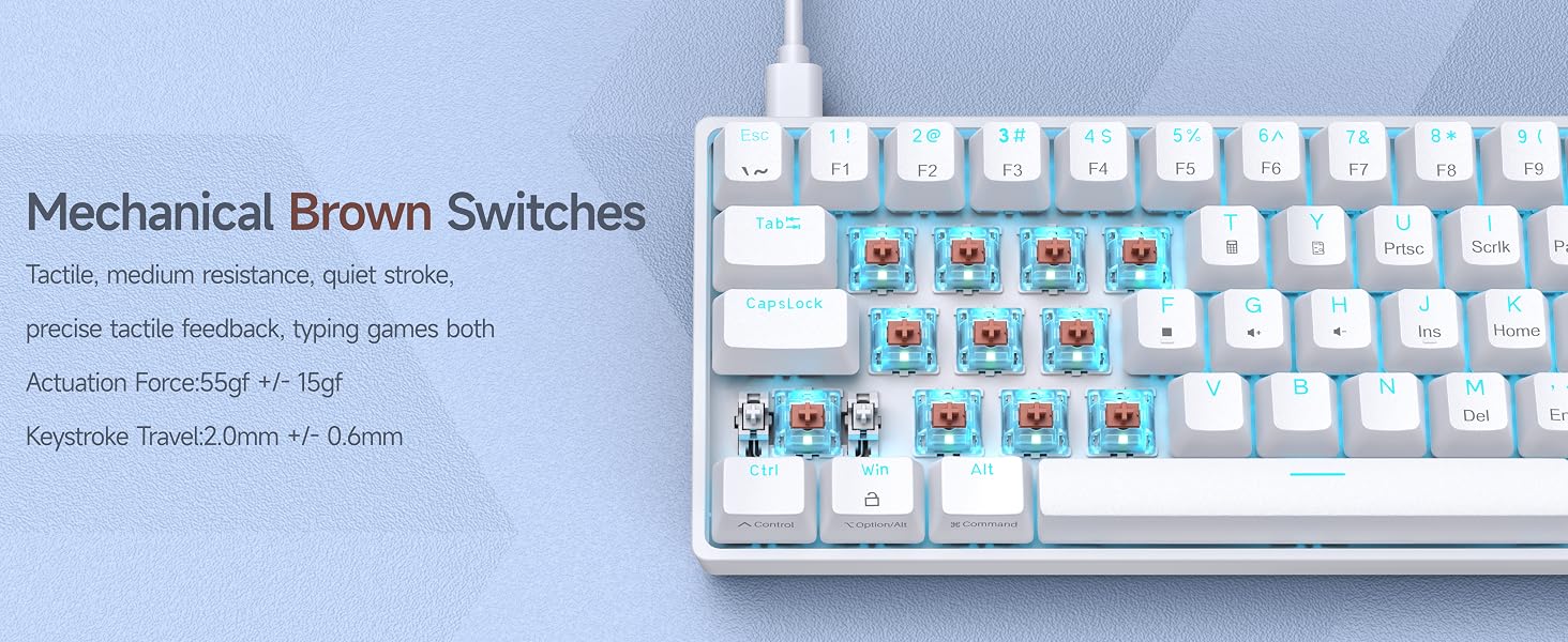 DK61SE- Brown Switch