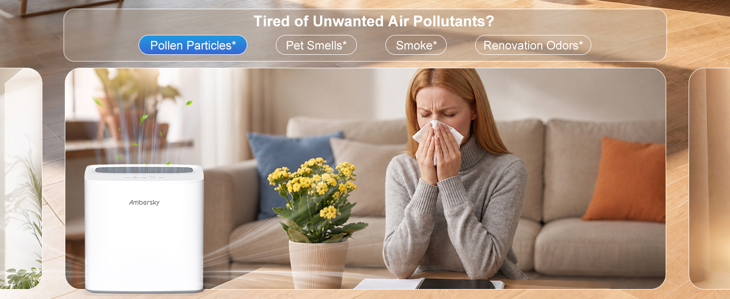 Air purifiers for rooms