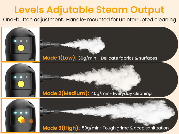 portable steam cleaner