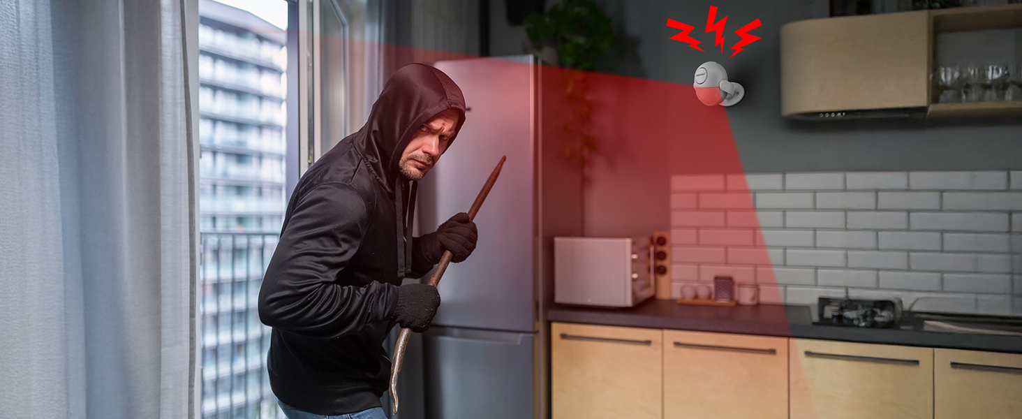 Indoor Motion Sensor Alarm