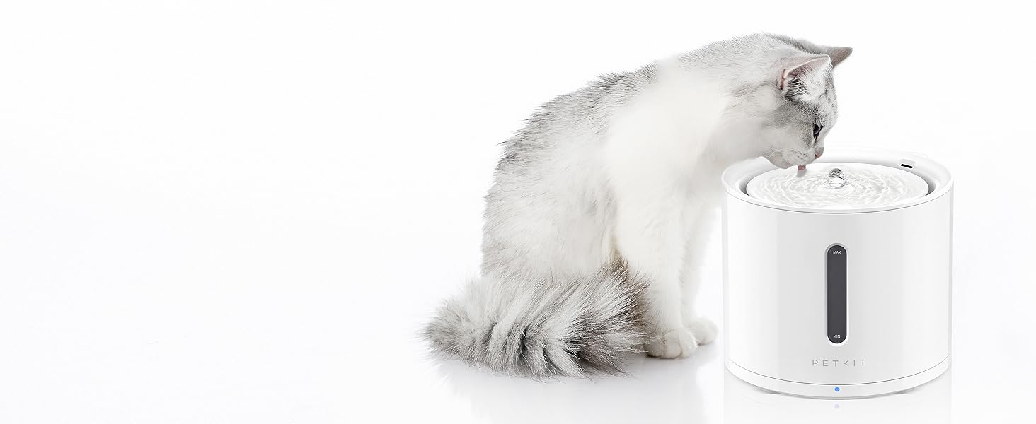 Eversweet Solo 2 cat water fountain with wireless pump