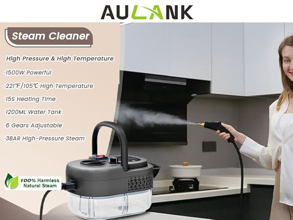 steam cleaner