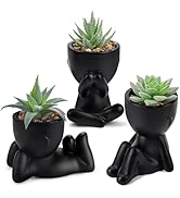 Der Rose 3pcs Fake Succulents Plants Artificial for Black Bathroom Bedroom Home Room Decor Aesthe...