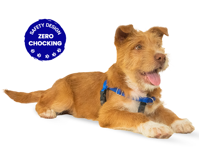 no pull dog harness